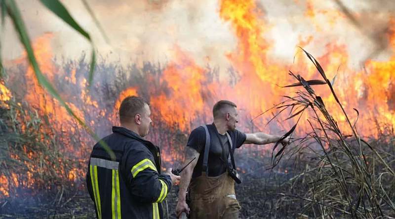 Survived the winter, we'll survive the summer too