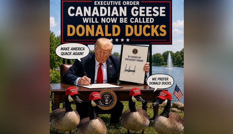 News from the USA. Main highlights by the end of the week. August 29, 2026